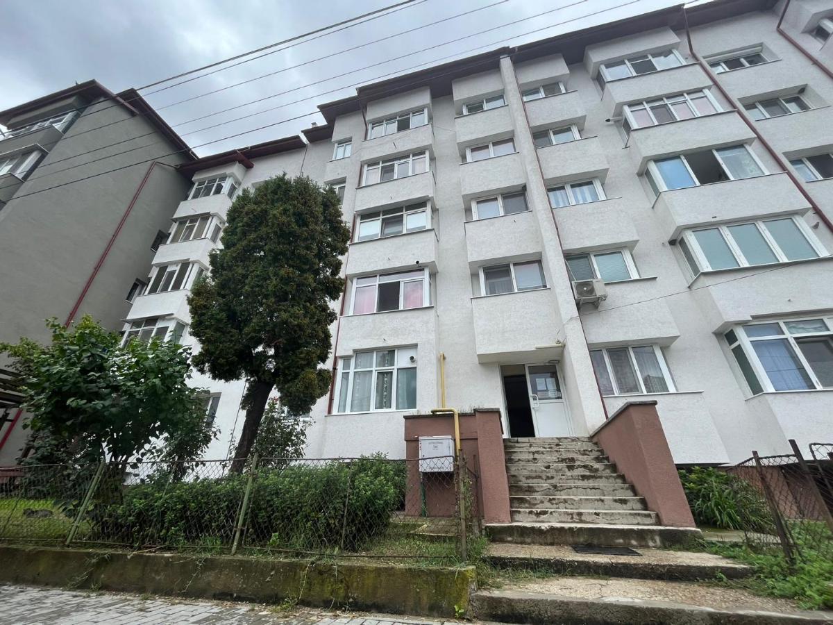 Lala'S Sweet Nest Apartment Calimanesti Exterior photo
